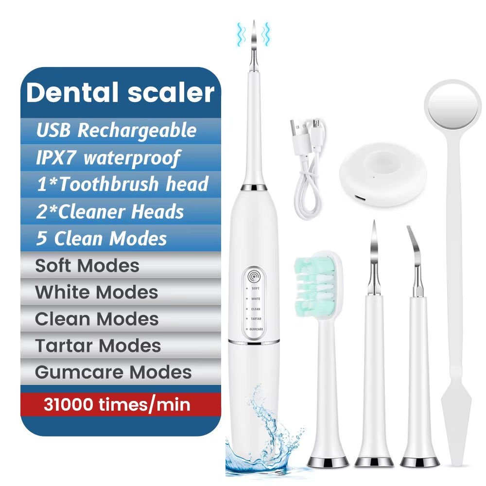 Electric Toothbrush Houseehold Whitening IPX7 Waterproof Toothbrushes Automatic Tooth Brush Dental Calculus Remover Dental